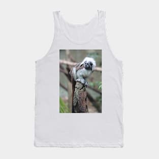 Cotton Top Tamarin Tank Top